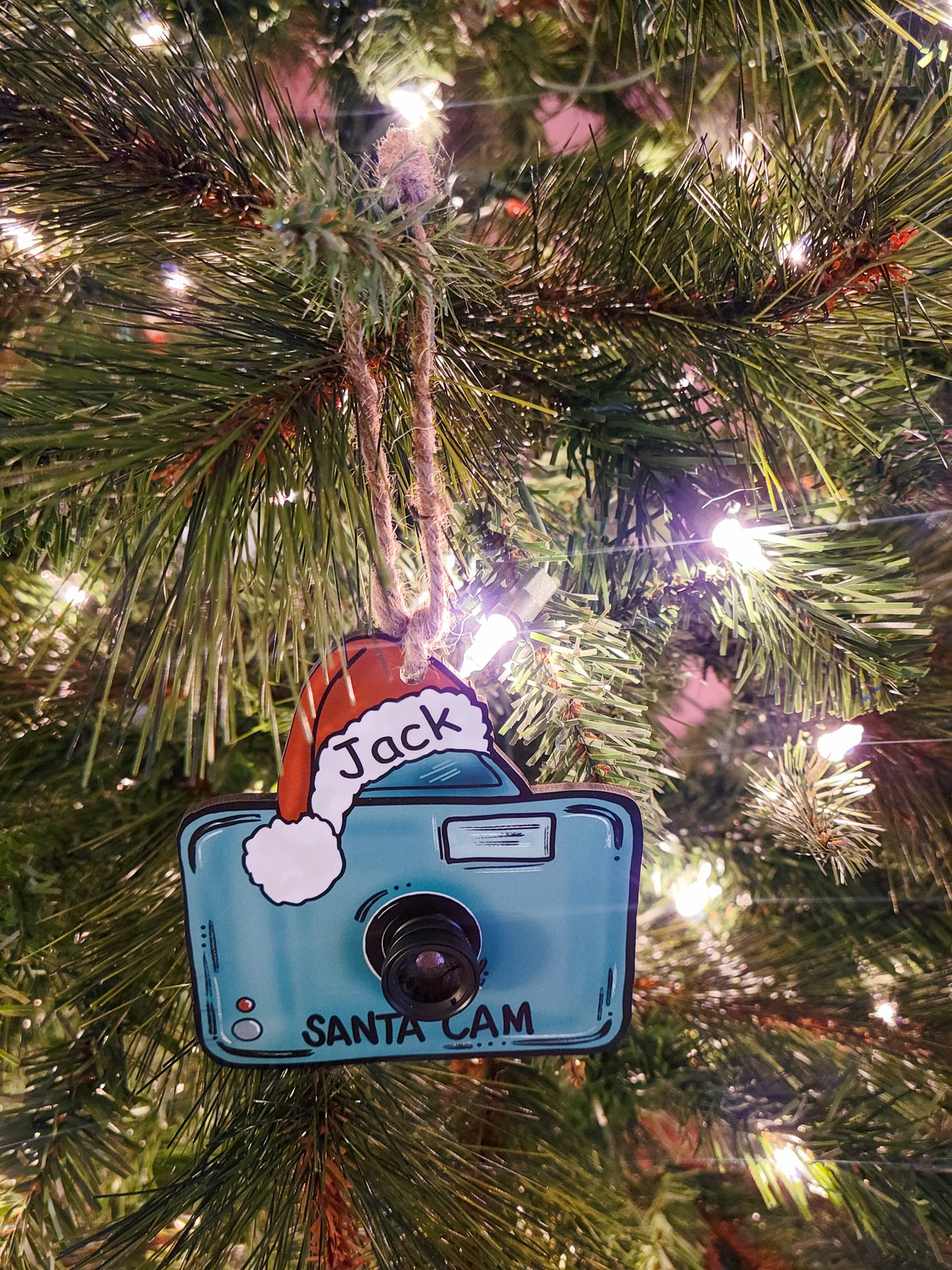 Santa Cam Ornament